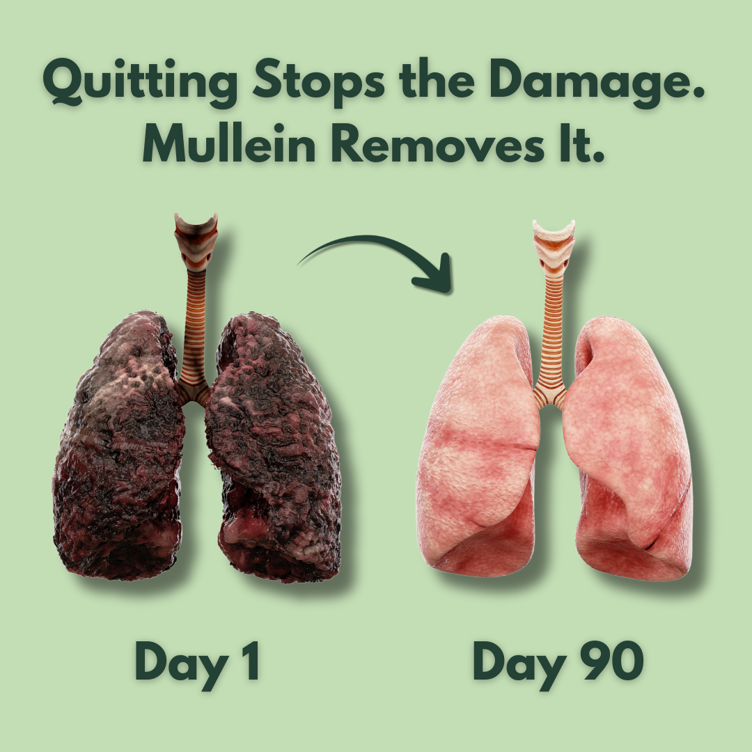 Oryan™ Mullein Gummies